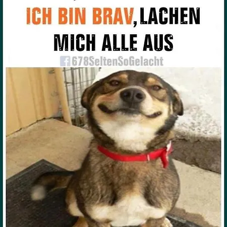 Naturfreunde Alpenvorland Lägenhet Kilb
